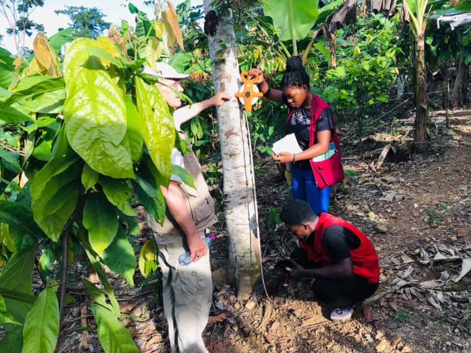 Certification Training