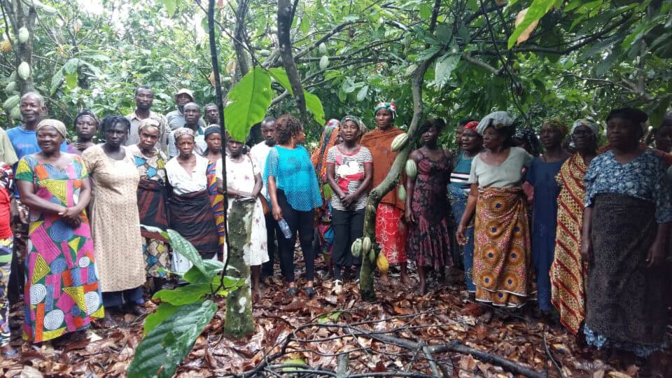 Cocoa Farmers' Training